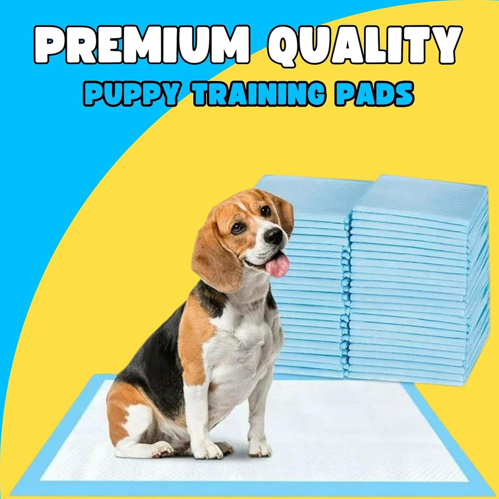 100X Large Puppy Pads 100 Pack Disposable Puppy Training Pads 60X60Cm | Highly Absorbent 5 Layer Leak-Proof Dog Training Pads | Premium Quality Quick-Dry Dog Pads (60X60Cm - 100 Count)