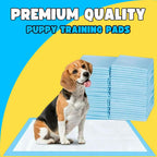 100X Large Puppy Pads 100 Pack Disposable Puppy Training Pads 60X60Cm | Highly Absorbent 5 Layer Leak-Proof Dog Training Pads | Premium Quality Quick-Dry Dog Pads (60X60Cm - 100 Count)