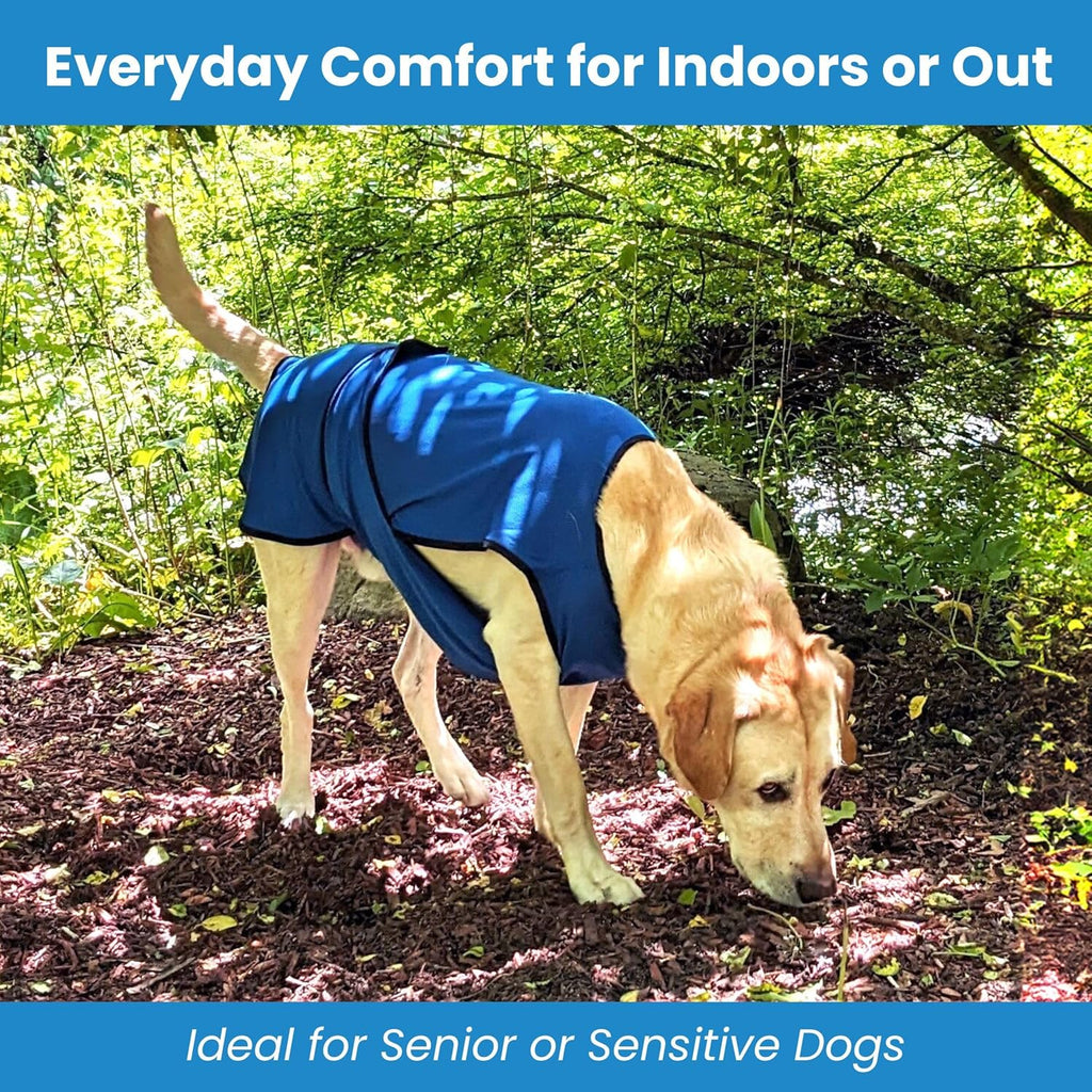 Dog Cooling Vest – Lightweight Evaporative Summer Coat with UV Protection – Soft, Breathable Fabric for Small, Medium & Large Dogs (S, Dark Blue)
