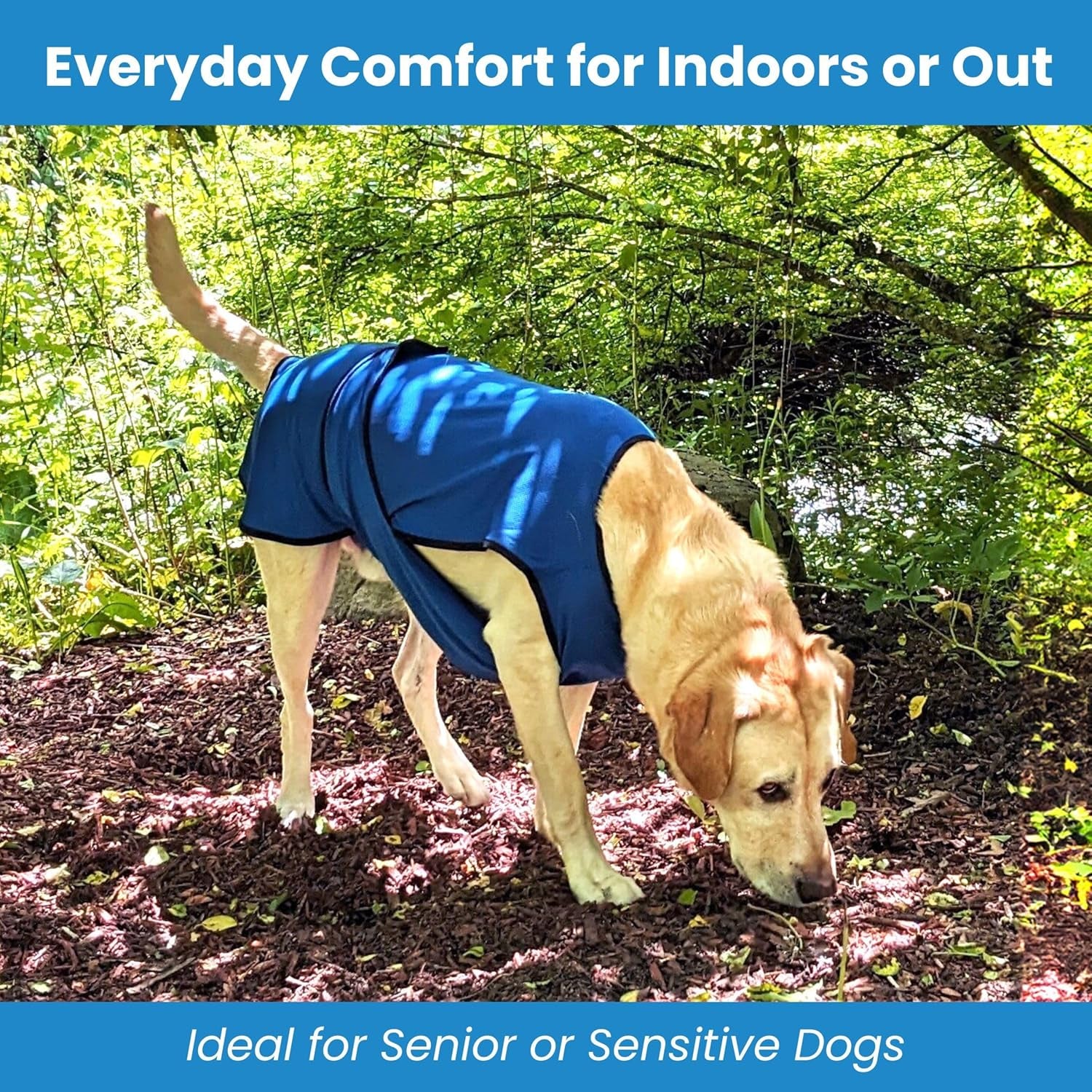 Dog Cooling Vest – Lightweight Evaporative Summer Coat with UV Protection – Soft, Breathable Fabric for Small, Medium & Large Dogs (S, Dark Blue)