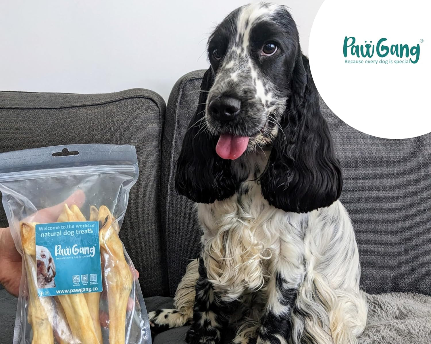 Lamb Legs for Dogs 5 Pcs – Air Dried Natural Dog Treats & Chews – Healthy Hypoallergenic Grain Rawhide Free – Long Lasting Dental Bones – Teething Puppies Seniors Small Medium Large – Raw