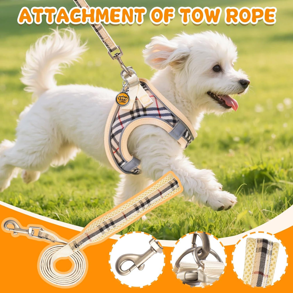 3Pcs Dog Harness and Lead Set, Step-In Dog Harness, Adjustable No Pull Puppy Vest, Reflective Dogs Harnesses, Breathable Mesh Small Pet Harnesses for Walking Training Outdoor