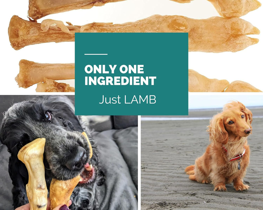 Lamb Legs for Dogs 5 Pcs – Air Dried Natural Dog Treats & Chews – Healthy Hypoallergenic Grain Rawhide Free – Long Lasting Dental Bones – Teething Puppies Seniors Small Medium Large – Raw