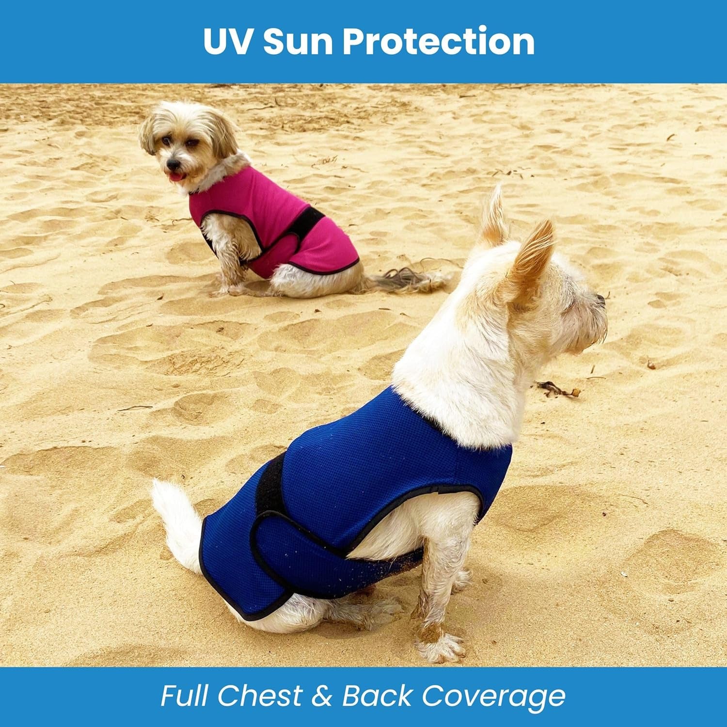 Dog Cooling Vest – Lightweight Evaporative Summer Coat with UV Protection – Soft, Breathable Fabric for Small, Medium & Large Dogs (S, Dark Blue)