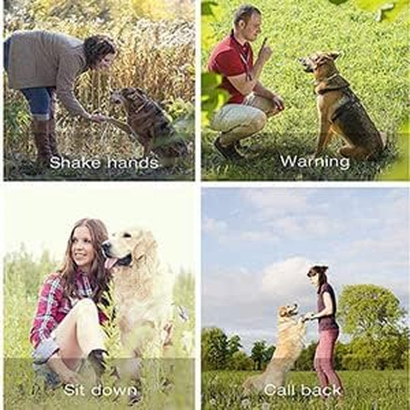 Dog Training Whistles,Dog Training Clicker with Wrist Strap,High Pitch Plastic Training Whistles Professional Ultrasonic Dog Whistle with Lanyard Adjustable Frequencies,For Barking & Recall
