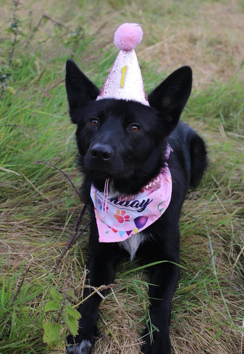 Pink Dog 1St Birthday Hat、Bandana and Bowtie for Girls Small Medium Dogs Cats Happy Birthday Hat Doggy Party Supplies Adjustable Pet Collar Bowtie Celebration Pet Birthday Neckerchief Set