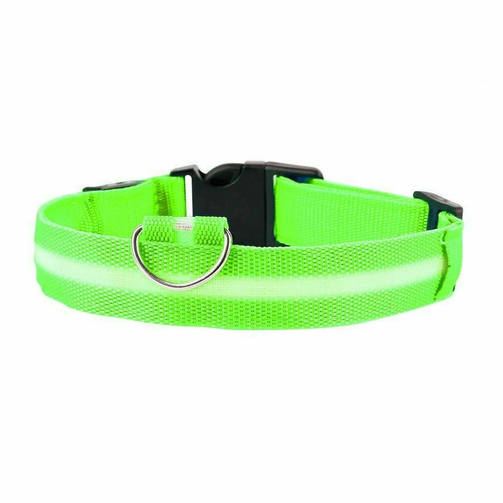 LED Dog Pet Collar USB Rechargeable Flashing Luminous Safety Night Light Up