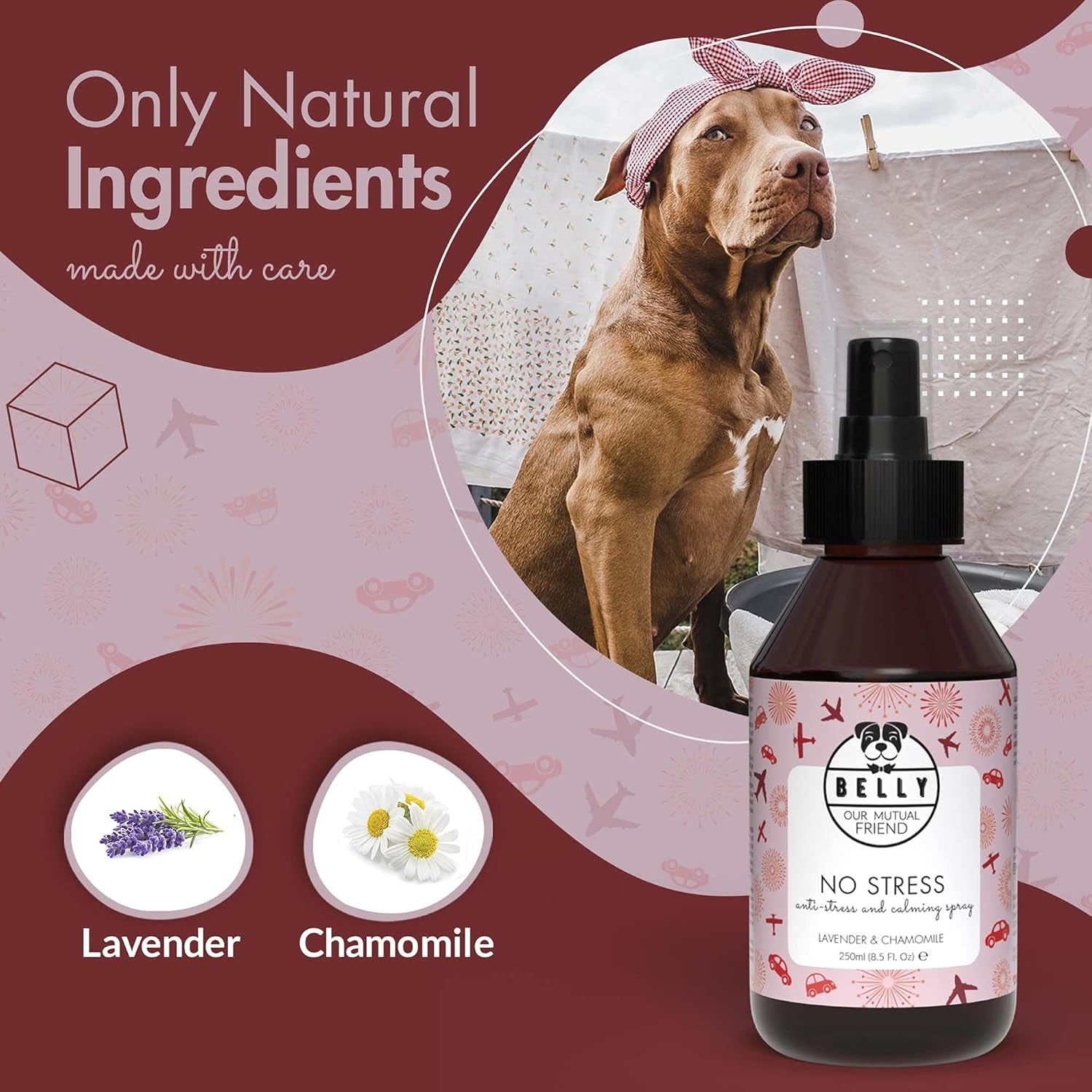 Belly Anxiety Relief for Dogs Spray - 250Ml - Dog Calming Spray - Calming Spray for Dogs and Cat Anxiety Relief - Anxiety for Dogs and Calm Spray for Dogs - Calming Spray for Cats Anxiety