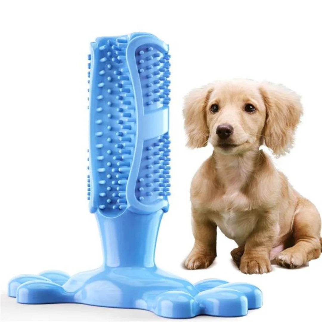 Cleanteeth Dog Dental Chew Toy – Teeth Cleaning Chew for Dogs