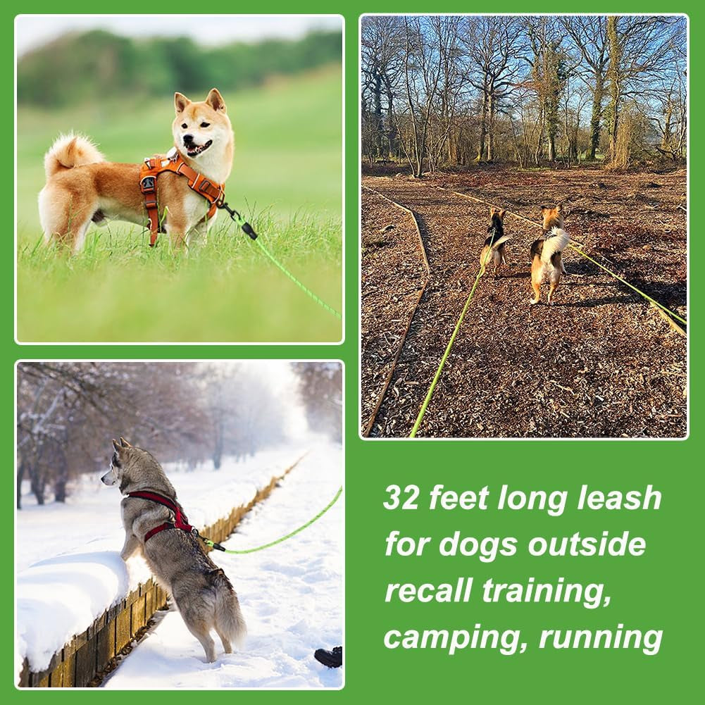Long Dog Lead, 10M/32FT Reflective Floating Long Leads for Dog Training with Soft Handle for Camping, Hiking, Swimming, Beach and Lake (Reflective Green)