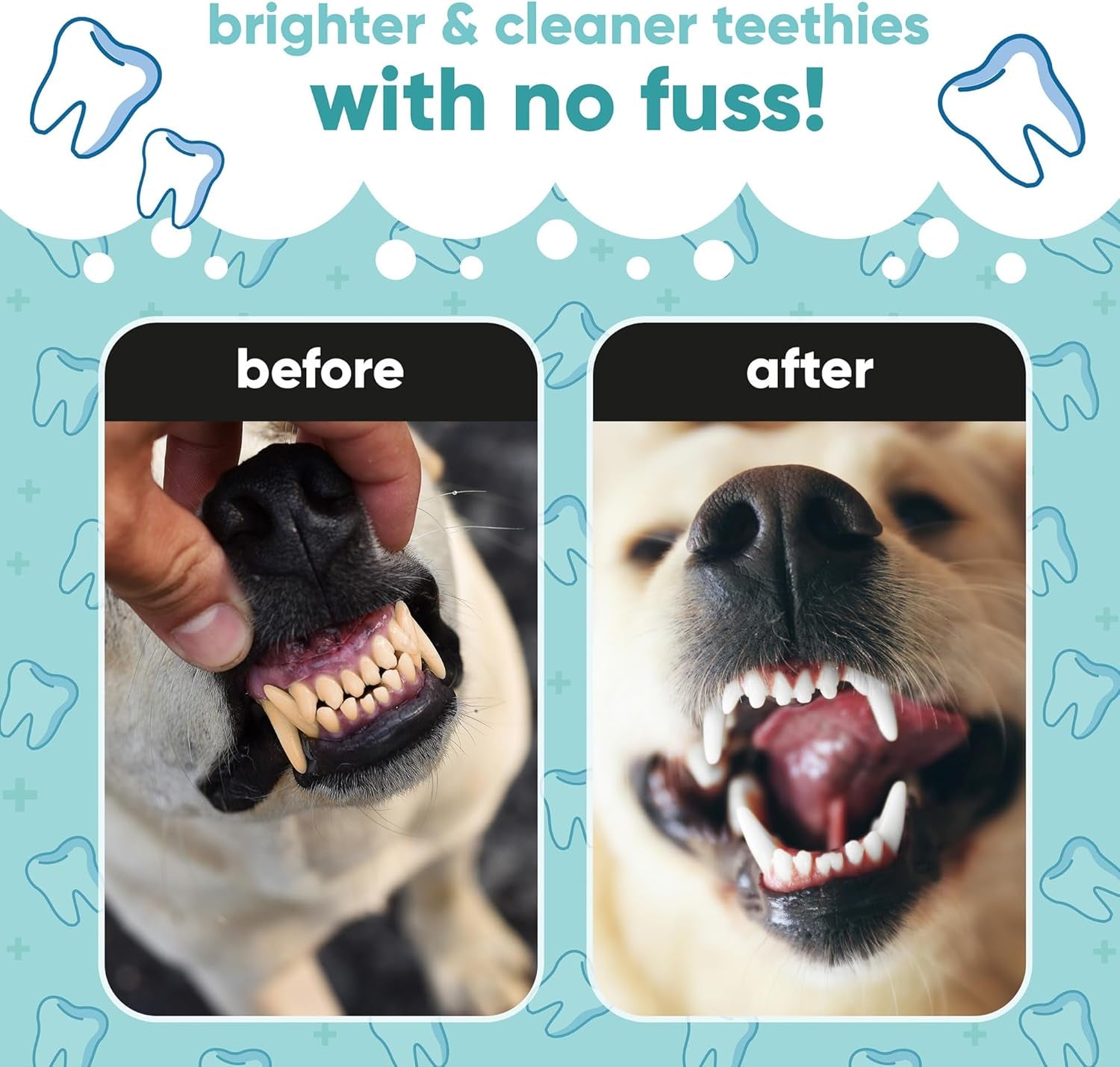 Dog Dental Care Solution - Water Additive Plaque Remover for Teeth and Breath Freshener, Helps Reduce Plaque and Tarter Build-Up Ensuring Optimal Dental Hygiene