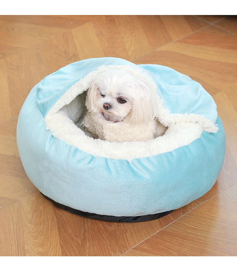 Small white dog peeking up from light blue hooded cave bed — curious and alert
