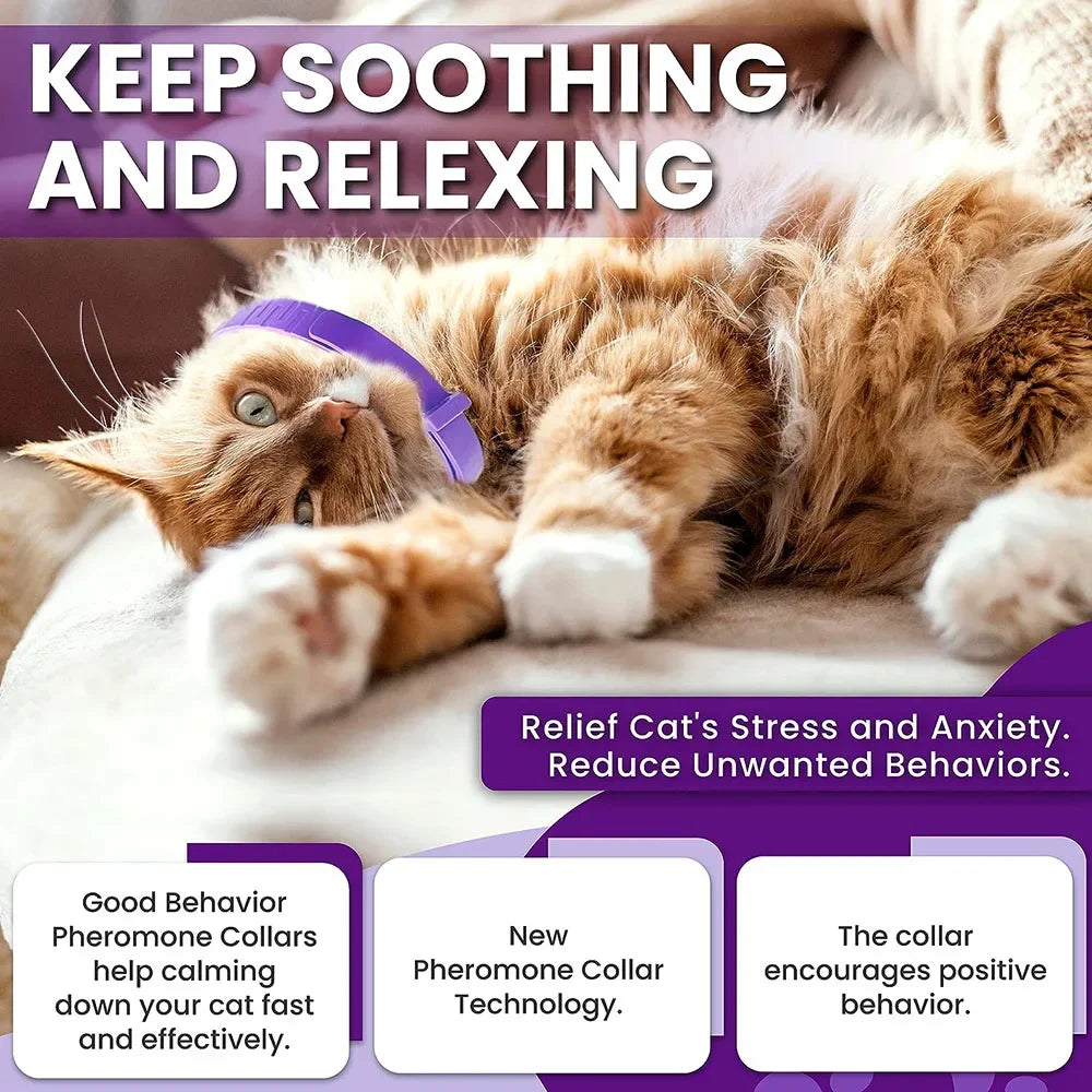 Calming Collar for Cats Pet Calming Pheromone Collar for Cats Dogs Calming Collar for Anxiety Effective Relieve Anxiety Stress