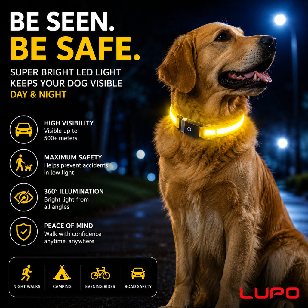 LED Dog Pet Collar USB Rechargeable Flashing Luminous Safety Night Light Up