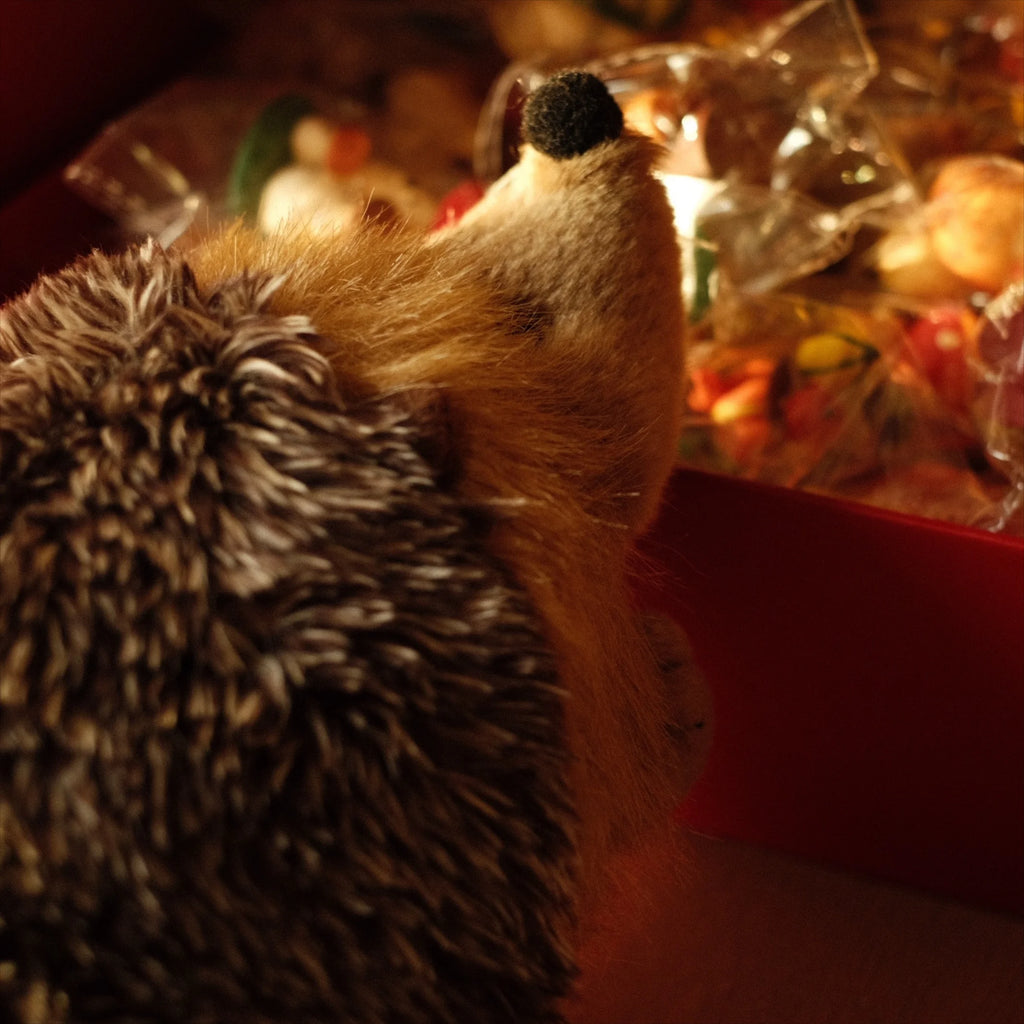 1Pc Squeaky Hedgehog Plush Dog Toy Cartoon Animal Plush Toy