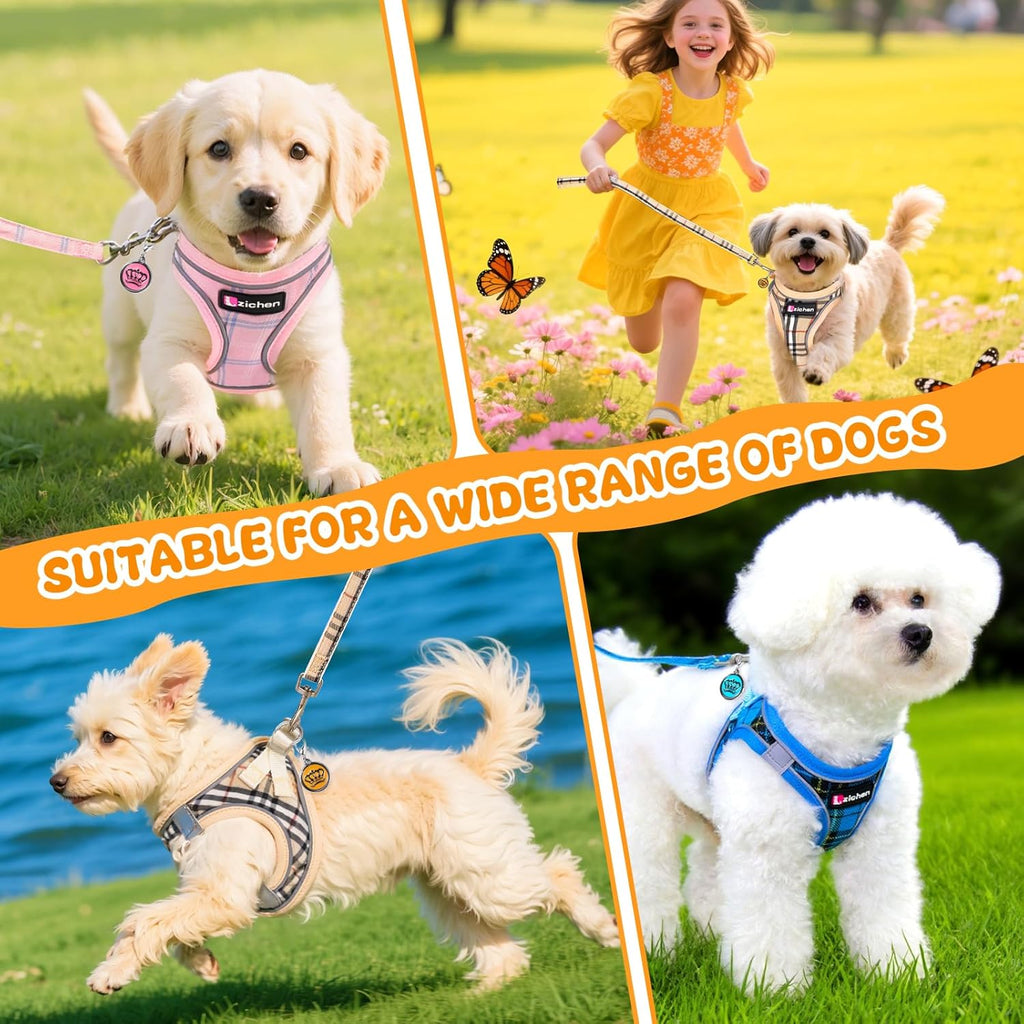 3Pcs Dog Harness and Lead Set, Step-In Dog Harness, Adjustable No Pull Puppy Vest, Reflective Dogs Harnesses, Breathable Mesh Small Pet Harnesses for Walking Training Outdoor
