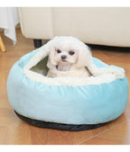 Small white dog sitting inside light blue hooded cave dog bed — plush interior, velvet-style exterior