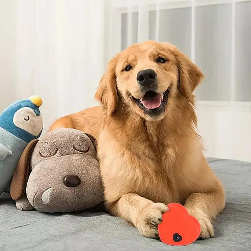 DreamPup™ Heartbeat Calming Companion — Soothes Anxiety & Helps Dogs Sleep