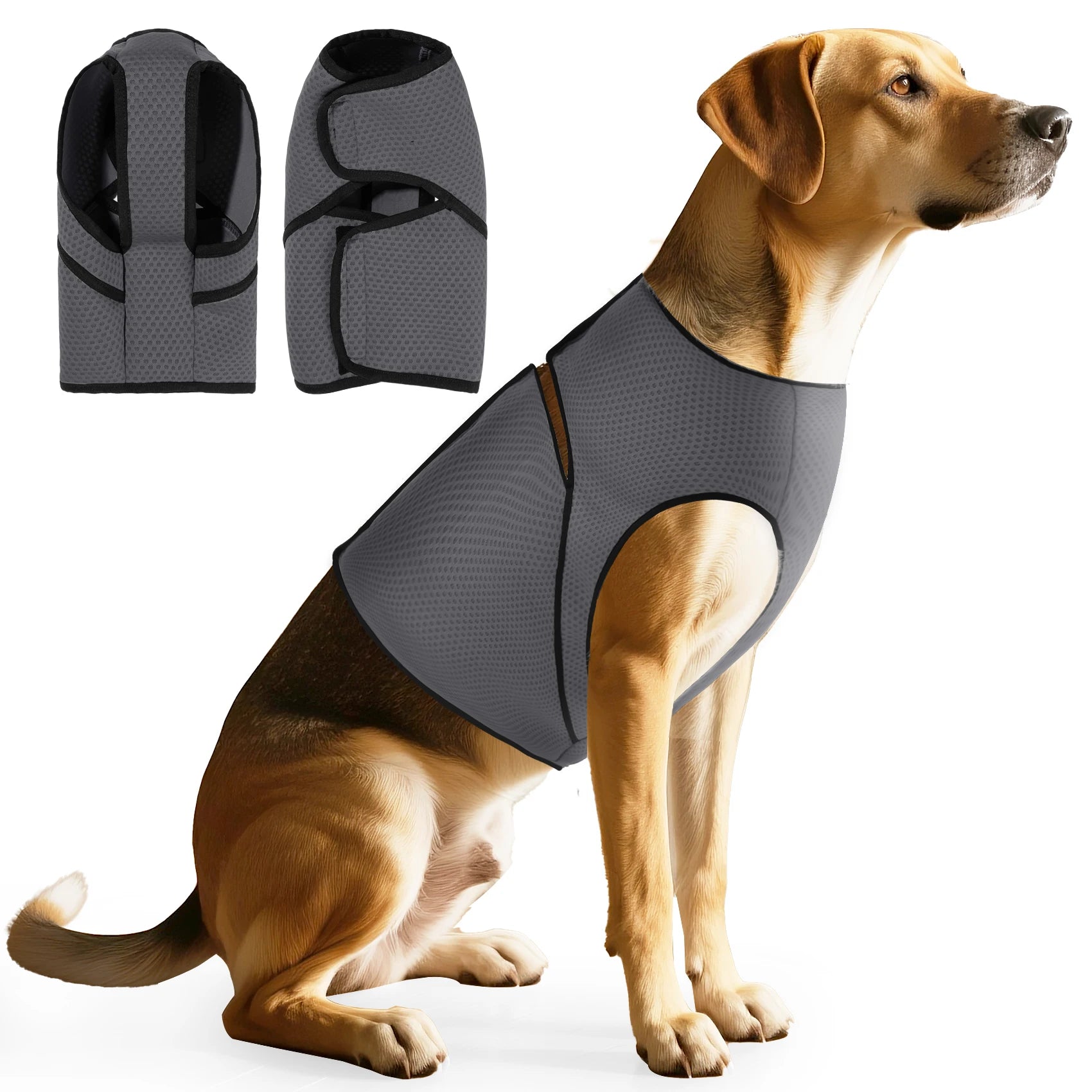 CalmWrap™ anti-anxiety dog vest — TailSpark calming pressure therapy