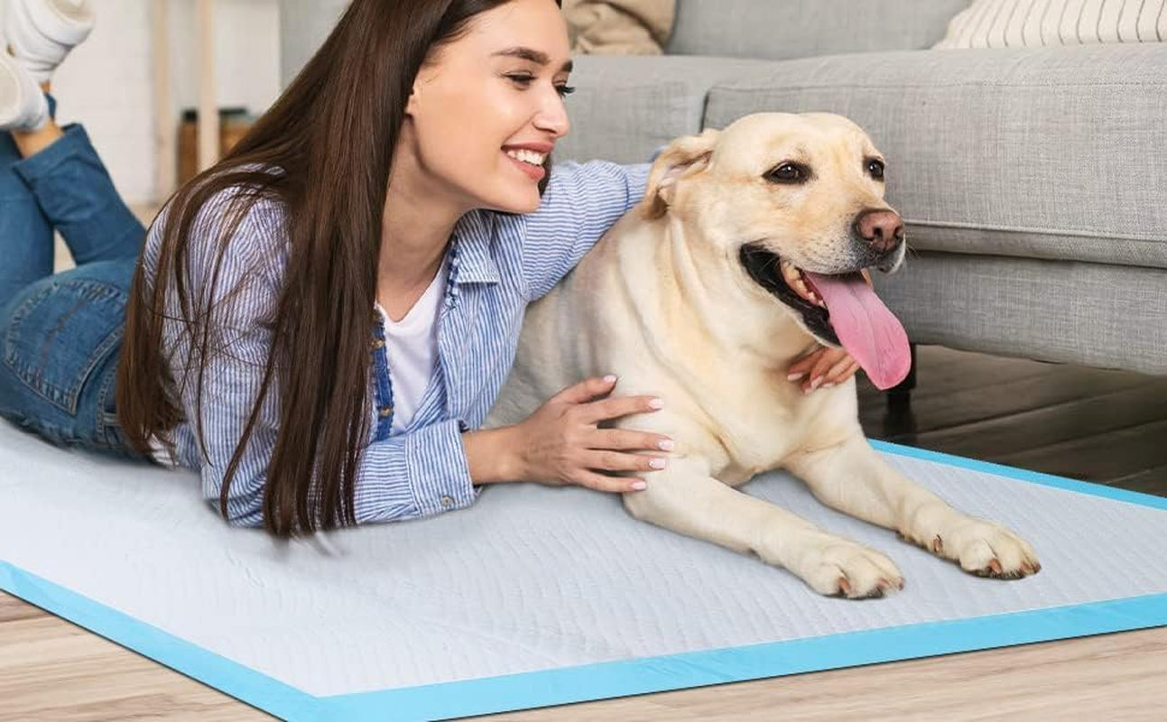 100X Large Puppy Pads 100 Pack Disposable Puppy Training Pads 60X60Cm | Highly Absorbent 5 Layer Leak-Proof Dog Training Pads | Premium Quality Quick-Dry Dog Pads (60X60Cm - 100 Count)