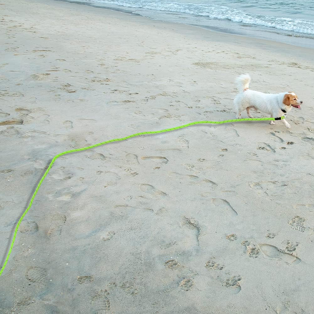 Long Dog Lead, 10M/32FT Reflective Floating Long Leads for Dog Training with Soft Handle for Camping, Hiking, Swimming, Beach and Lake (Reflective Green)