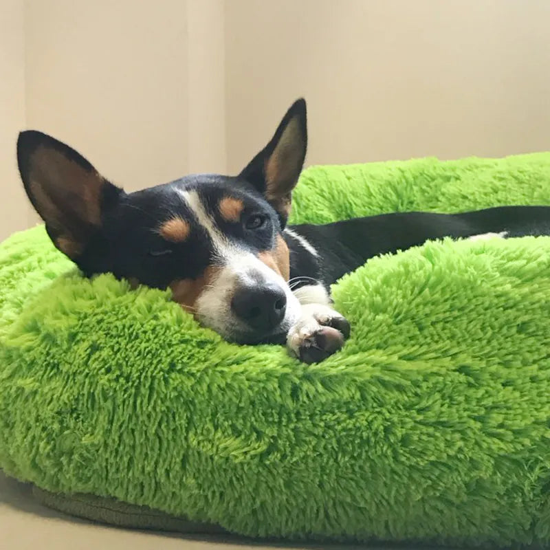 VIP LINK - Dog Long Plush Dounts Beds Calming Bed Hondenmand Pet Kennel Super Soft Fluffy Comfortable for Large Dog / Cat House 201126