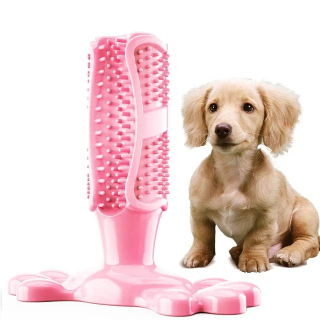 Cleanteeth Dog Dental Chew Toy – Teeth Cleaning Chew for Dogs