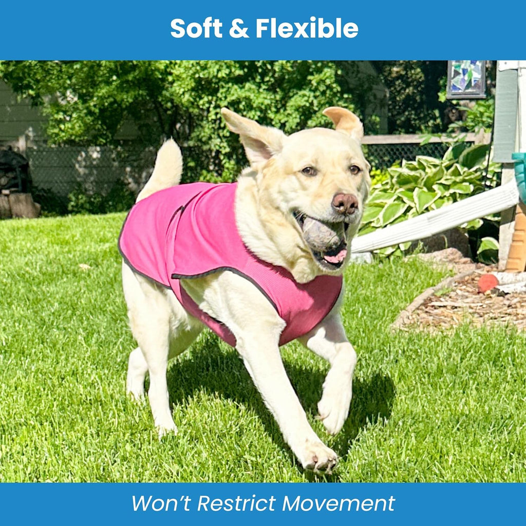 Dog Cooling Vest – Lightweight Evaporative Summer Coat with UV Protection – Soft, Breathable Fabric for Small, Medium & Large Dogs (S, Dark Blue)