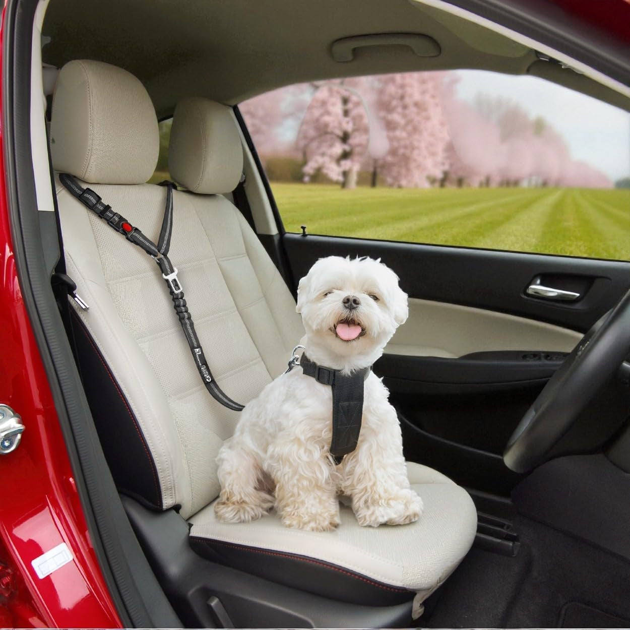 Dog Seat Belt for Cars, Headrest Dog Seat Belt 2 Pack – Adjustable Car Harness for Pet Safety (BALCK)
