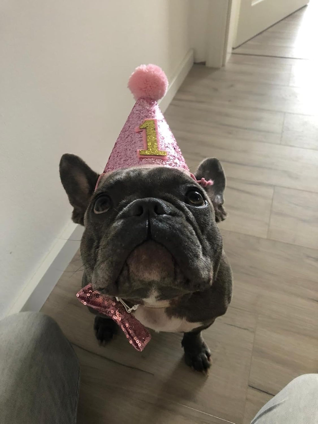 Pink Dog 1St Birthday Hat、Bandana and Bowtie for Girls Small Medium Dogs Cats Happy Birthday Hat Doggy Party Supplies Adjustable Pet Collar Bowtie Celebration Pet Birthday Neckerchief Set