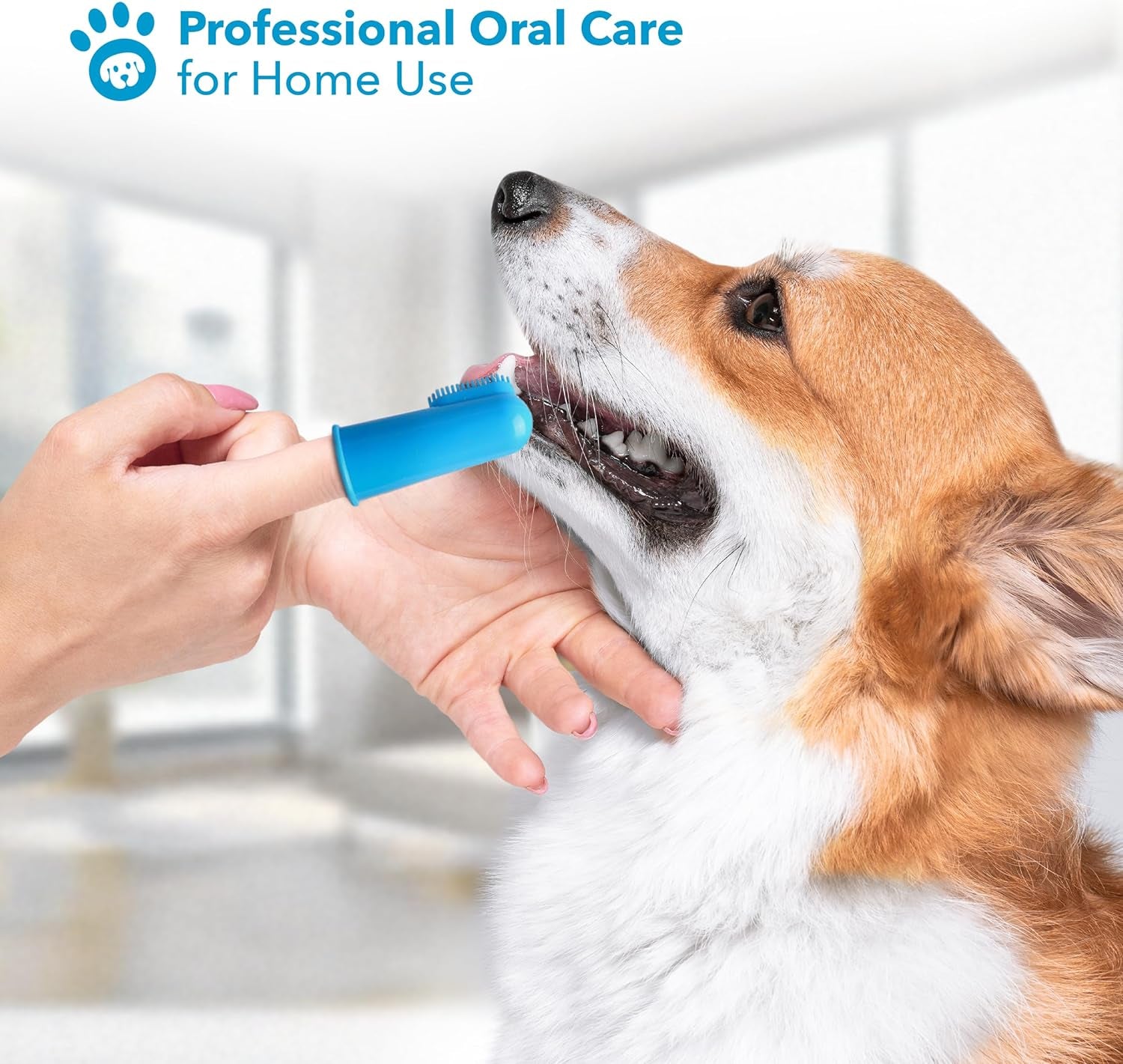 Dog Finger Toothbrush Set - 8 Pack Includes 6 Silicone Bristle + 2 Nylon Bristle Dog & Cat Toothbrushes - Approved - Dental Oral Care - Kit for Small, Medium & Large Pets