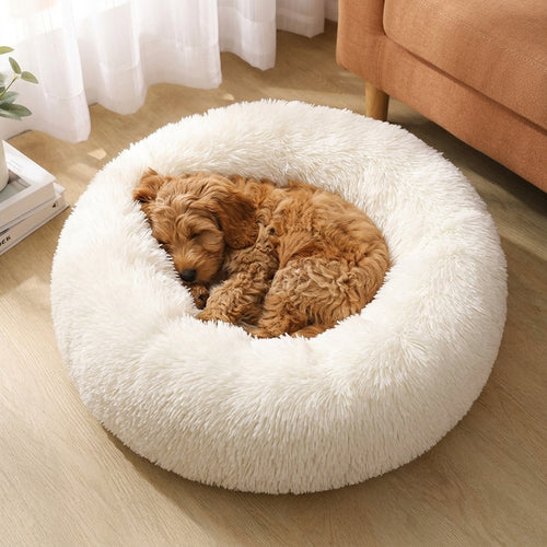 CalmNest Calming Donut Dog Bed — Cockapoo resting peacefully inside the raised donut rim