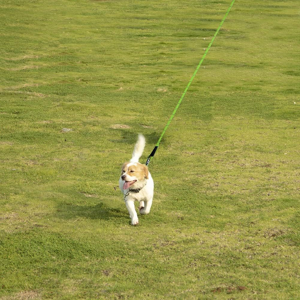 Long Dog Lead, 10M/32FT Reflective Floating Long Leads for Dog Training with Soft Handle for Camping, Hiking, Swimming, Beach and Lake (Reflective Green)