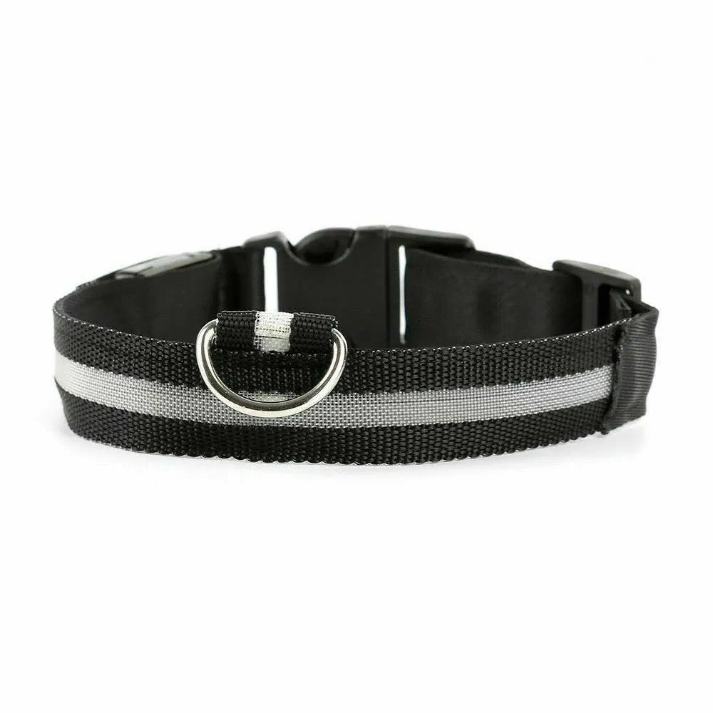 LED Dog Pet Collar USB Rechargeable Flashing Luminous Safety Night Light Up