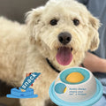 Calming Lick Mat & Slow Feeder — Soothes Anxious Dogs