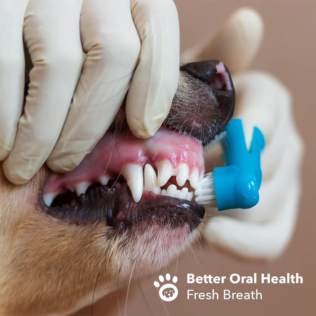 Dog Finger Toothbrush Set - 8 Pack Includes 6 Silicone Bristle + 2 Nylon Bristle Dog & Cat Toothbrushes - Approved - Dental Oral Care - Kit for Small, Medium & Large Pets
