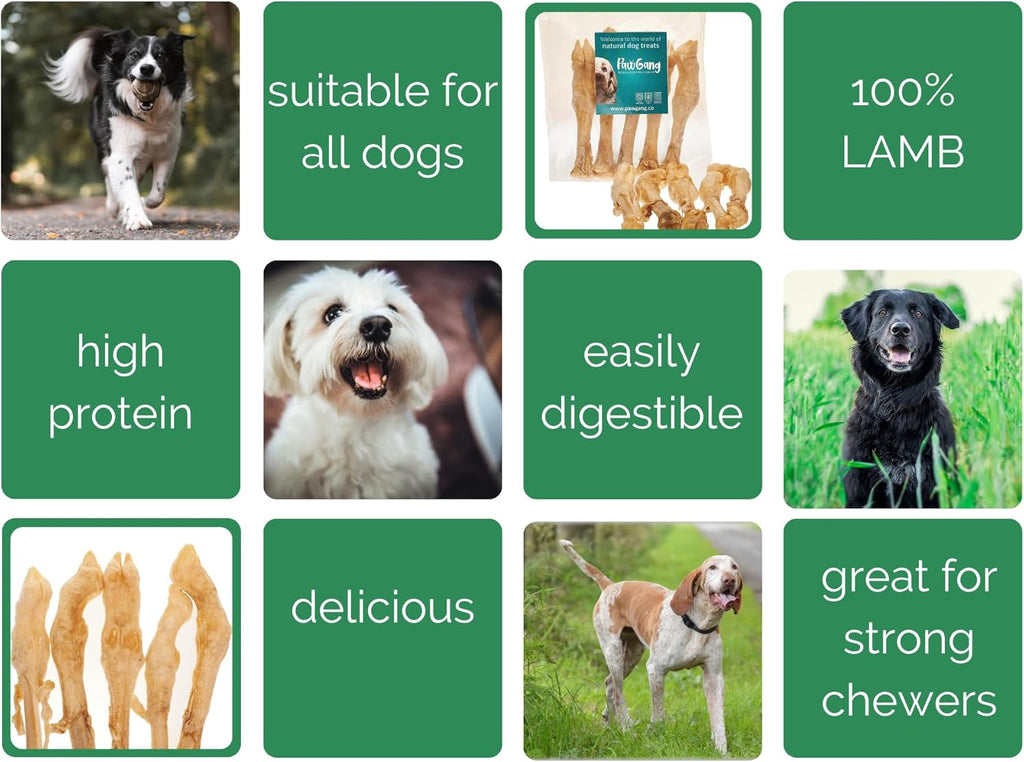 Lamb Legs for Dogs 5 Pcs – Air Dried Natural Dog Treats & Chews – Healthy Hypoallergenic Grain Rawhide Free – Long Lasting Dental Bones – Teething Puppies Seniors Small Medium Large – Raw