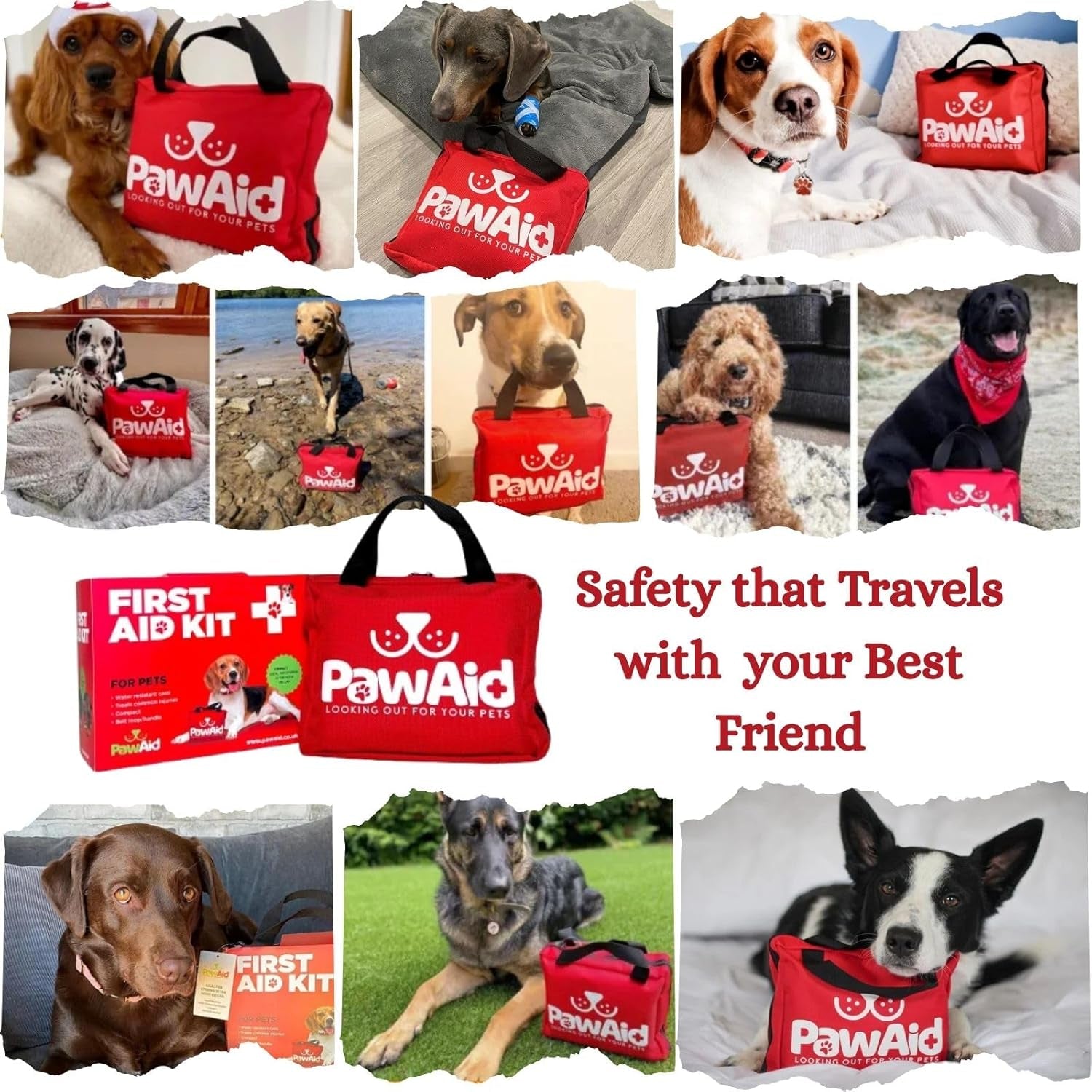 Pet First Aid Kit for Dogs – 50+ Piece Dog First Aid Kit, Pet First Aid Kit, Emergency Dog First Aid Kit for Travel – Portable Pet First Aid Kit for Car, Walking & Outdoor Use