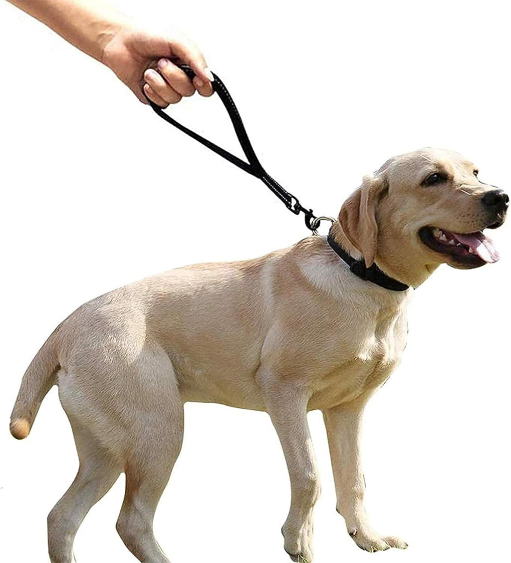 Short Dog Lead for Training, Short Leash with Soft Padding, Nylon Reflective Pet Walking Leash, Strong and Durable, 14 Inch (Black)