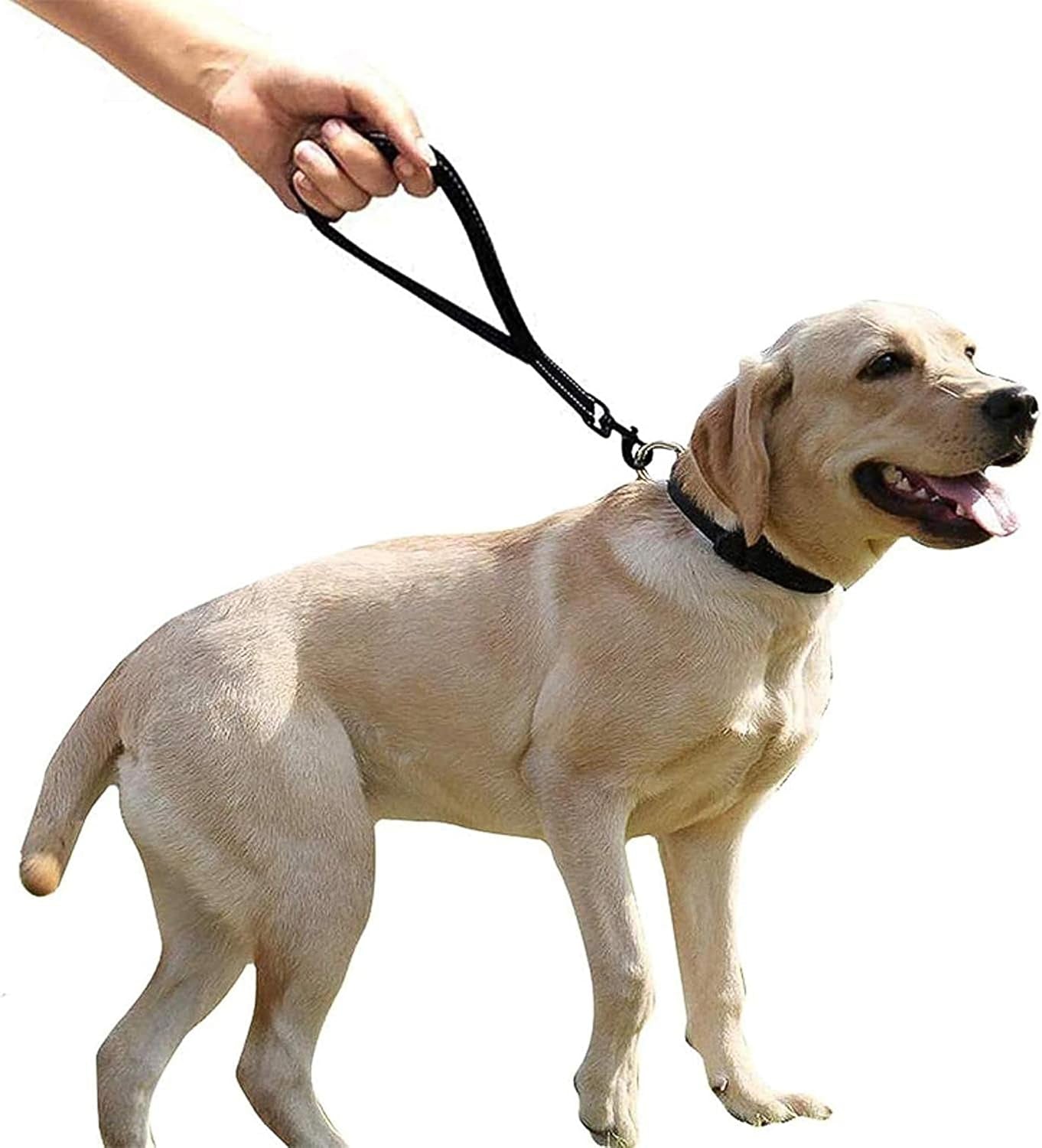 Short Dog Lead for Training, Short Leash with Soft Padding, Nylon Reflective Pet Walking Leash, Strong and Durable, 14 Inch (Black)