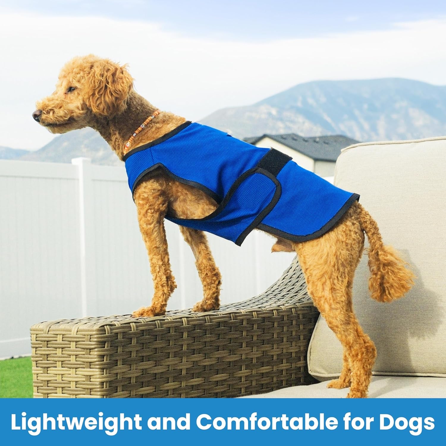 Dog Cooling Vest – Lightweight Evaporative Summer Coat with UV Protection – Soft, Breathable Fabric for Small, Medium & Large Dogs (S, Dark Blue)