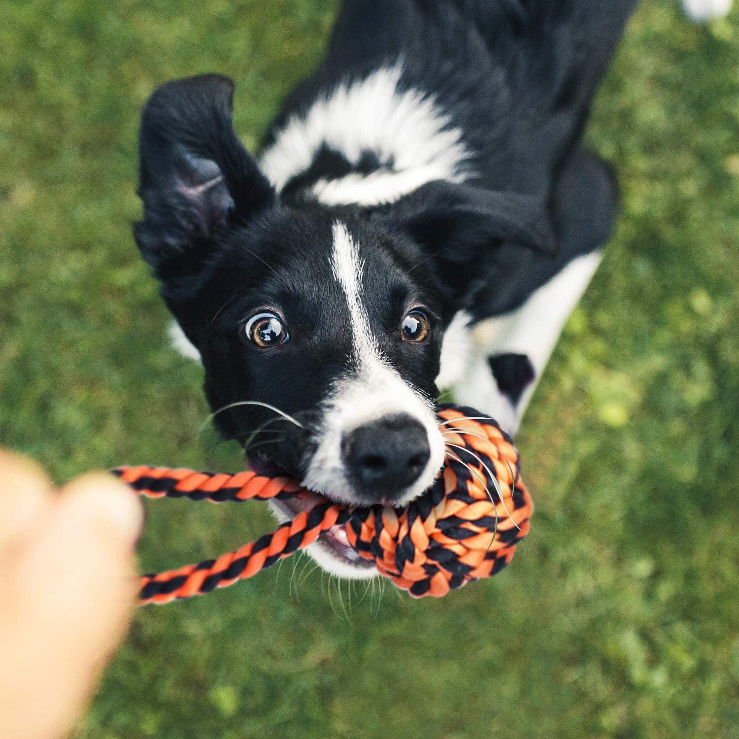 Large Tough Chew Toys for Aggressive Chewers Large Breed,Heavy Duty Dental Rope Toys Kit for Medium Dogs,5 Knots Indestructible Cotton Puppy Teething Chew Tug Toy (9 Pack)