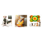 Anti-Anxiety Kit — CalmWrap vest, MellowDuck toy and CalmSniff mat together