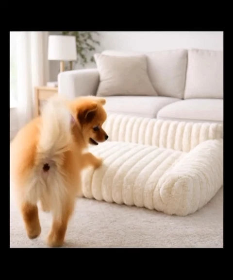 RibRest™ Ribbed Orthopaedic Dog Sofa — Premium Comfort Bed